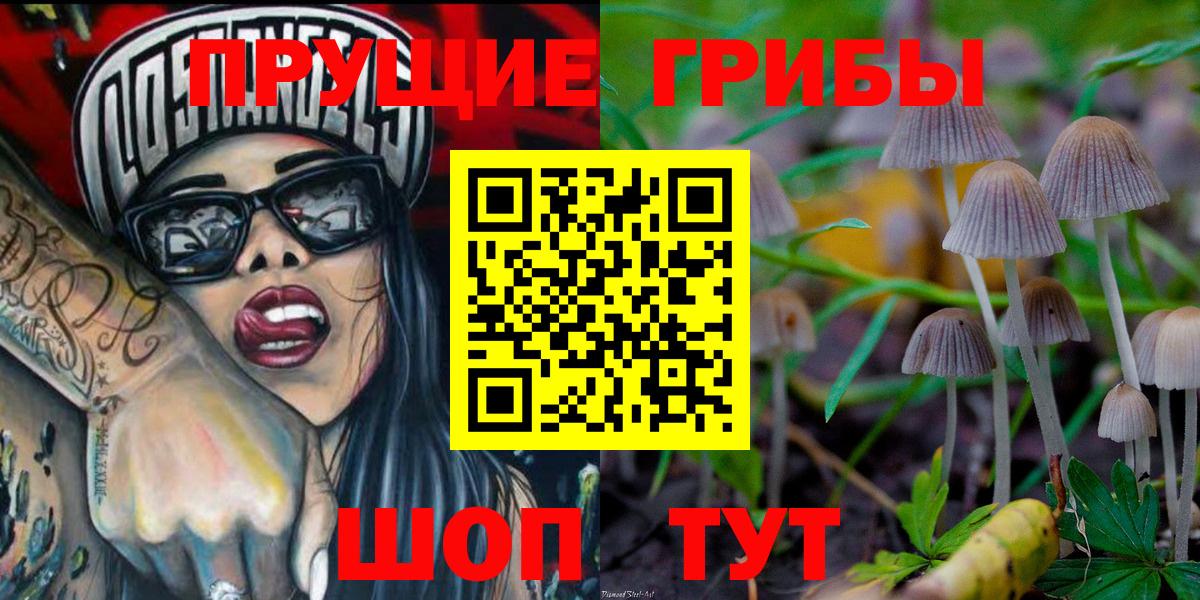 Елабуга  Галлюциногенные грибы Magic Shrooms  Вход с VPN 